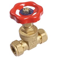 Express 22mm BS5154 DZR Gate Valve