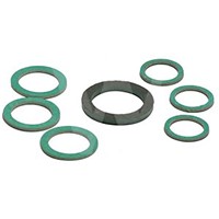 Regin Q115 Divertor Valve Washer Pack