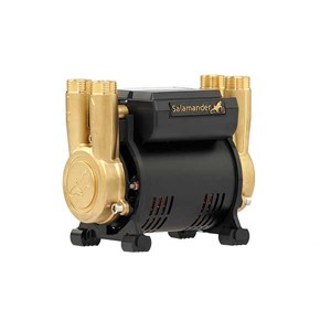 CT Force30 PT 3.0 Bar Twin Brass Ends & Head Shower Pump