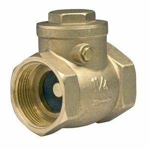 Embrass Peerless 1 1/4" FxF Spring Check Valve