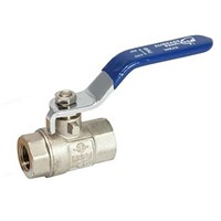 Express 1/4" Female Lever Ball Valve Blue Handle