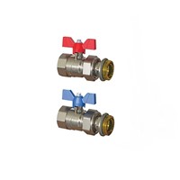 Express Pair Manifold Progress Ball Valves Male 1" F x MU